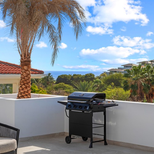 Gas BBQ with View Gas BBQ with View