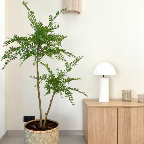 PHOTO-2025-12-10-12-05-40